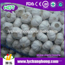 2014 Normal White Garlic Lowest Price with High Quality